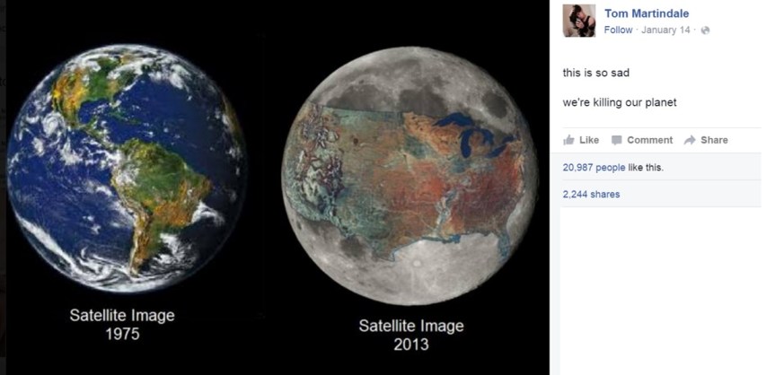 Can Social Networks stop Ignorance (and&nbsp;Stupidity)?