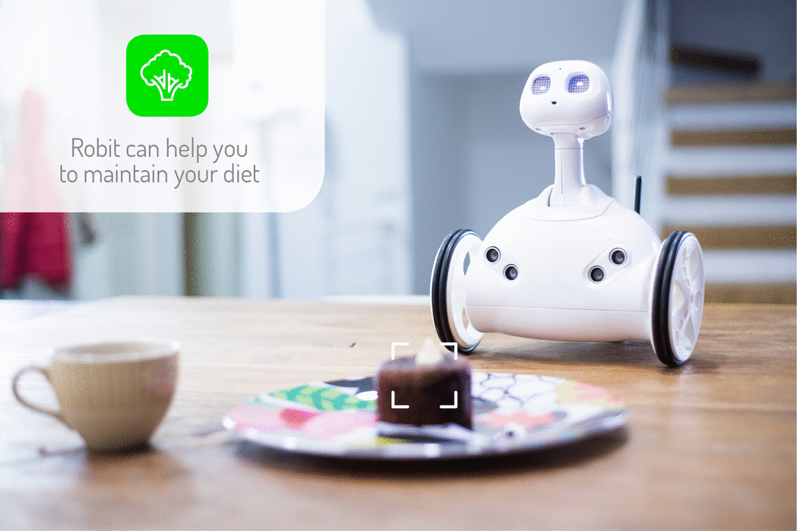 Robit: A New Contender in the Field of House&nbsp;Robots