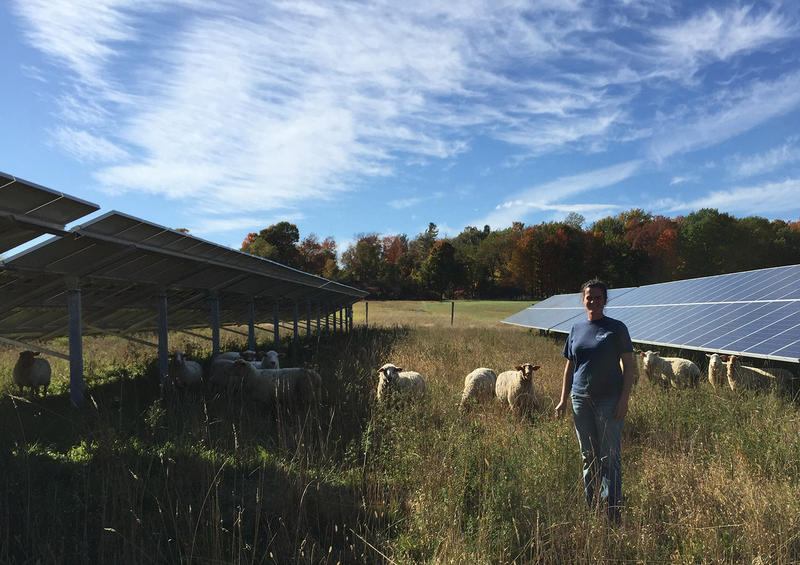 Anna-Freund-open-view-farm-vpr-bodette-201510